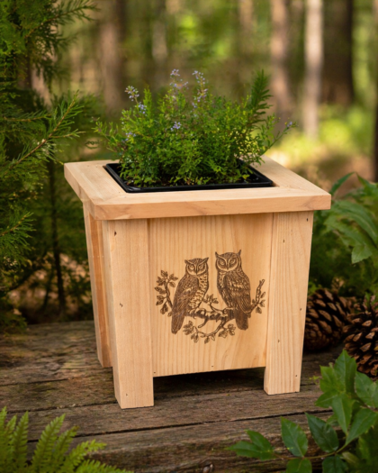 Cedar 2 Quart Mini Planter (Owls)